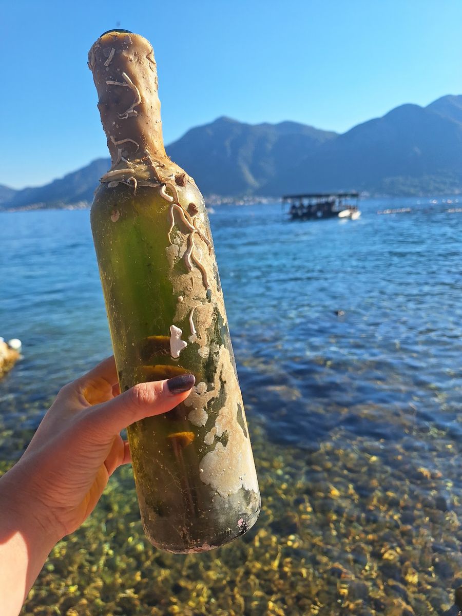Shell crusted wine bottle aged on the seabed